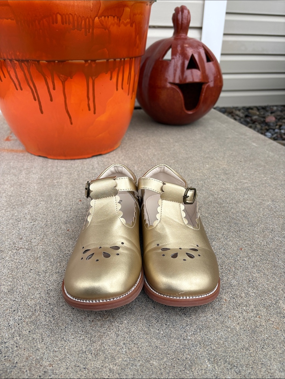 Felix and Flora Girls Metallic Mary Jane Dress Shoes T-Strap Size 2 Holiday Pics